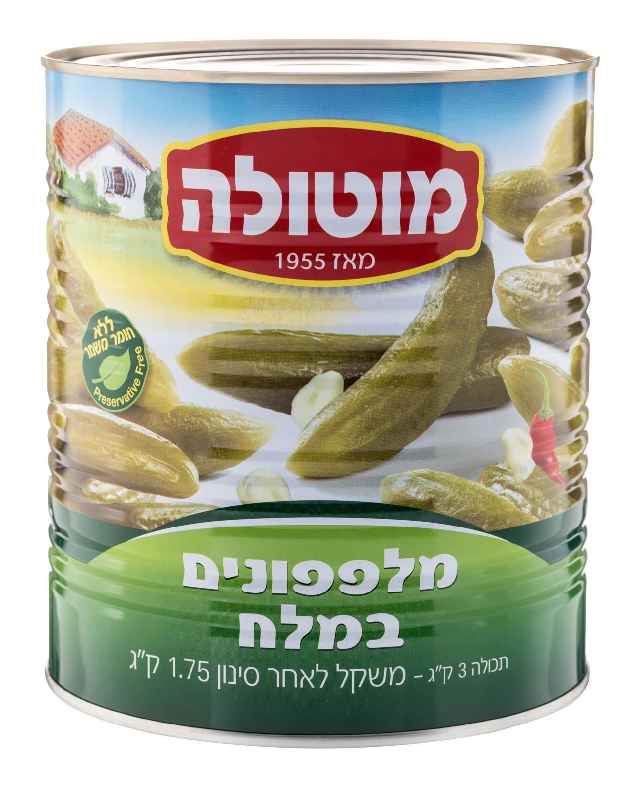 מוטולה מלפפון 30-36 במלח - 3 ק"ג * 1 יחידה