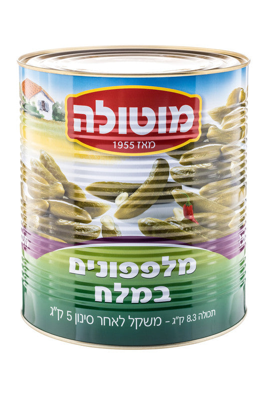 מוטולה מלפפון 81/95 במלח - 9 ליטר * 1 יחידה