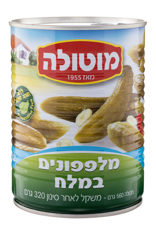 מוטולה מלפפון 10/12 במלח – 560 גרם × 12 יחידות (מארז)